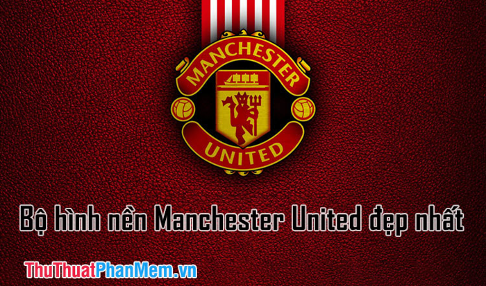 Bộ sưu tập hình nền Manchester United đẹp nhất dành cho người hâm mộ