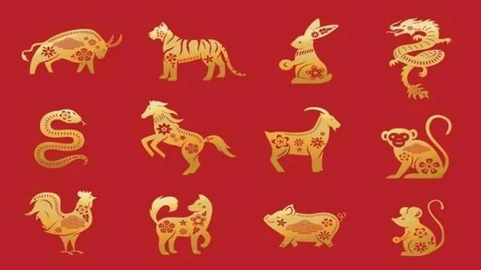 99+ Hình nền 12 con giáp đáng yêu, cực ngầu cho điện thoại
