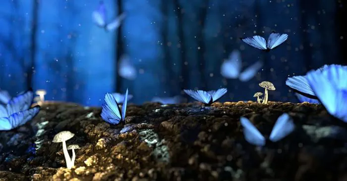 500+ Hình Nền Đẹp 3D Cute, Dễ Thương Full HD 4K Tải Miễn Phí Cho Điện  Thoại, Máy Tính