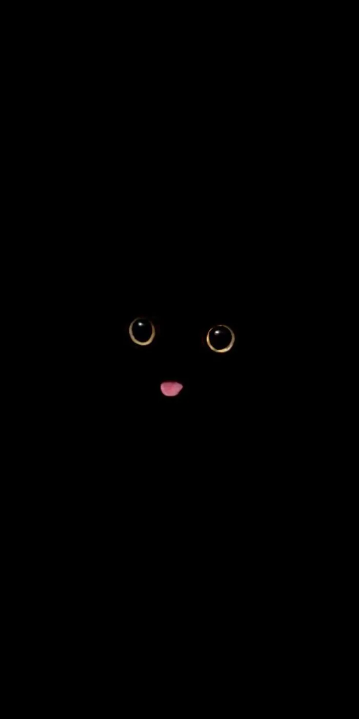 Hình nền mèo siêu dễ thương (tiết kiệm pin cho màn hình AMOLED)