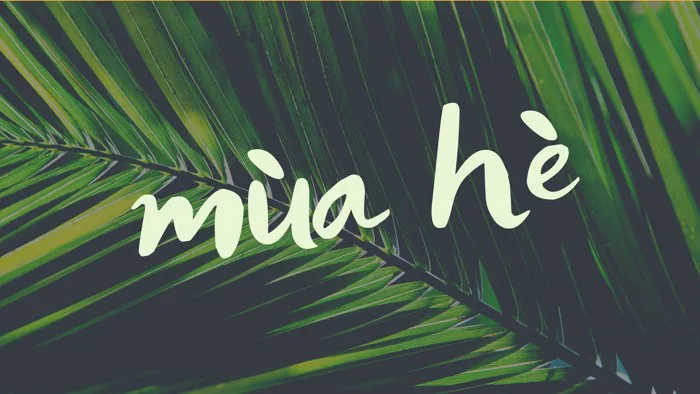 Tổng Hợp Hình Nền Bãi Biển Đa Dạng, Thiết Kế Trực Tuyến, Miễn Phí Tại Canva