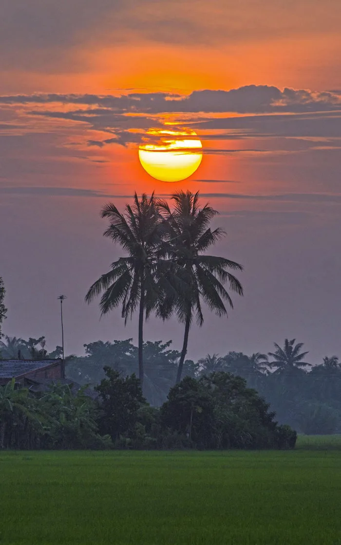 Hình ảnh bình minh đẹp
