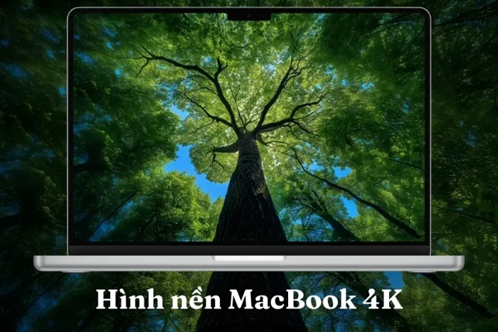 Bộ sưu tập hình nền MacBook 4K đẹp, sắc nét và cực ấn tượng