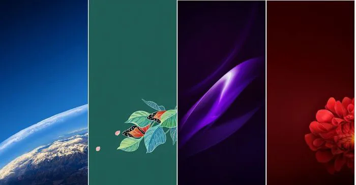 Best Oppo Phone Wallpapers: High-Quality Images | Hình nền điện thoại, Ảnh  tường cho điện