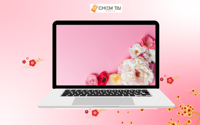 Top 200 Hình nền màu hồng đẹp dễ thương siêu cute và nữ tính