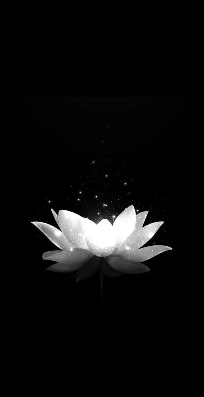 Hình nền đen ngầu cho người yêu thích phong cách tối giản Hình nền đen ngầu cho người yêu thích phong cách tối giản