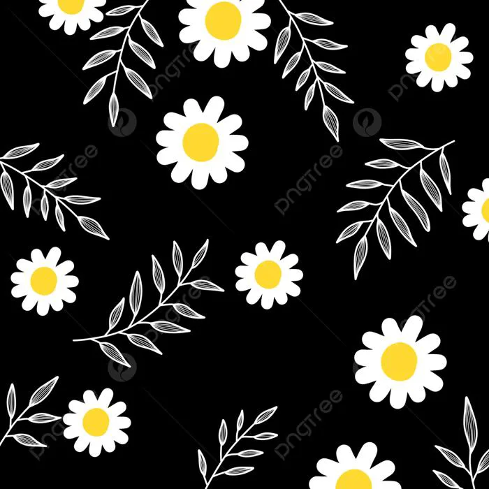 Hình nền Nền đen Hoa Cúc, Hoa Cúc, đen, Hoa Background Vector để tải xuống  miễn phí - Pngtree