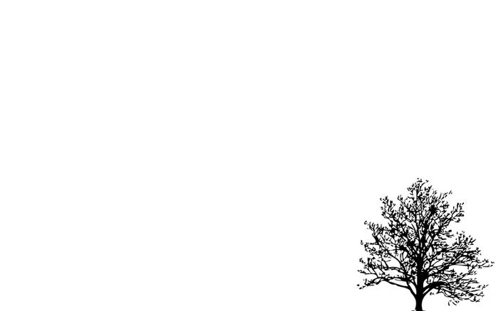 Những mẫu background đơn sắc tinh tế và ấn tượng