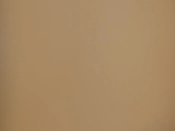 Hình ảnh miễn phí: màu nâu, màu sắc, gradient, nâu nhạt, đơn sắc, dệt may,  nghệ thuật, tóm tắt, mờ, hình nền