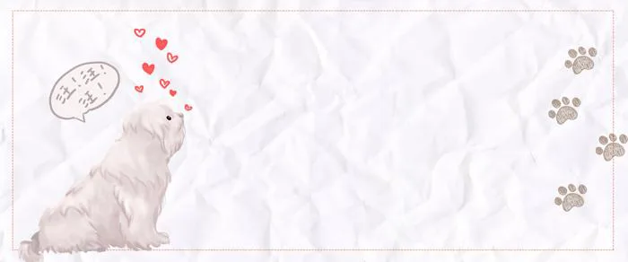 Hình nền Vật Liệu Nền động Vật Nuôi, động Vật, Thú Cưng, Con Mèo Background  Vector để tải xuống miễn phí - Pngtree