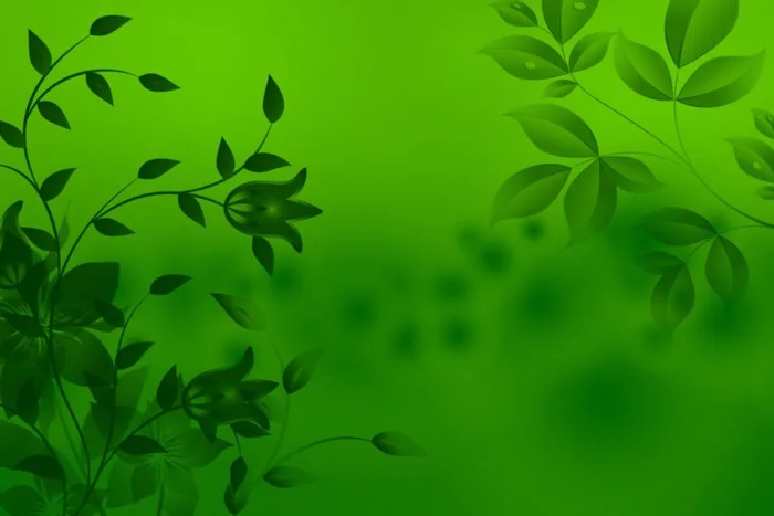 99+ Background xanh lá cây đẹp, đa dạng, tải về miễn phí