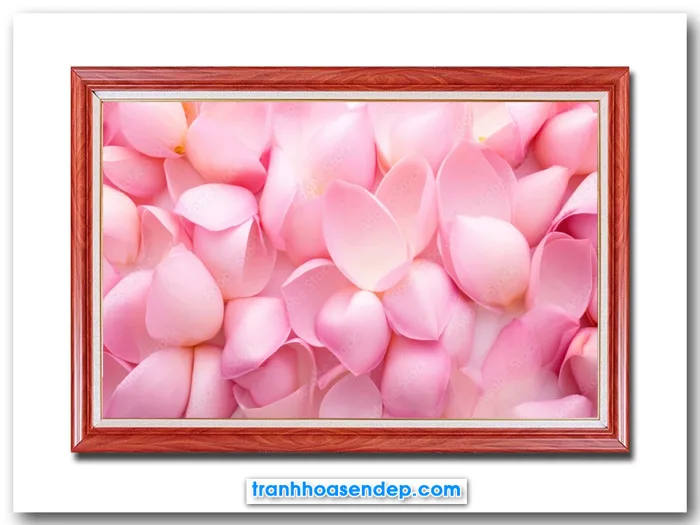 Mẫu tranh đẹp những cánh hoa sen hồng SEN2863