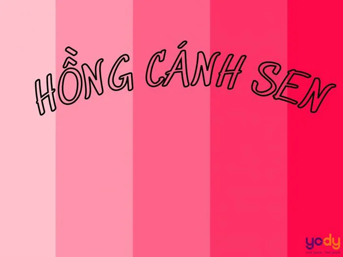 Hồng cánh sen hợp tone da nào? Gợi ý son hồng cánh sen phù hợp | Yody