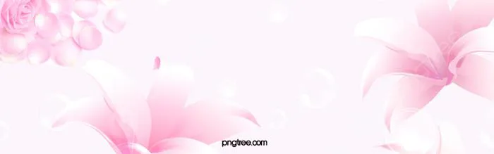 Hình nền Nền Hoa Hồng, Hình Nền, Hồng, Cánh Hoa Background Vector để tải  xuống miễn phí - Pngtree