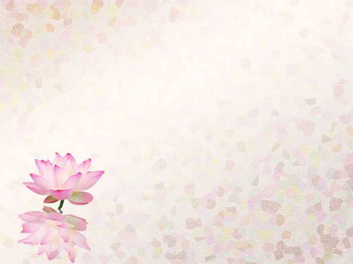 Những mẫu background hoa sen đẹp tinh tế và thanh tao