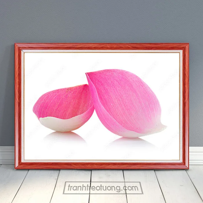Mẫu tranh đẹp hình ảnh 2 cánh hoa sen hồng THS5489