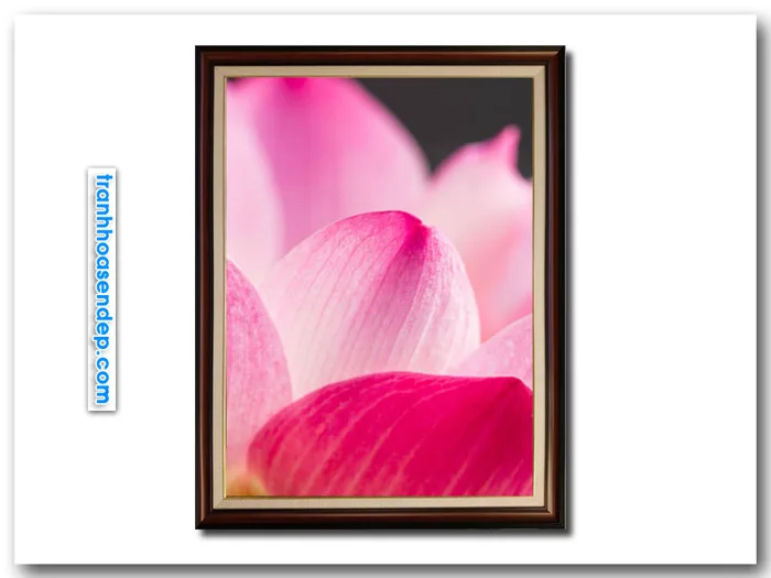 Tranh treo tường đẹp những cánh hoa sen hồng SEN1828