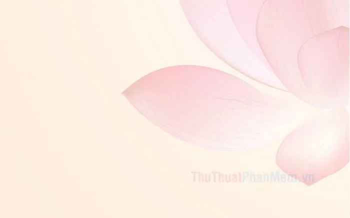Những mẫu background hoa sen đẹp tinh tế và thanh tao