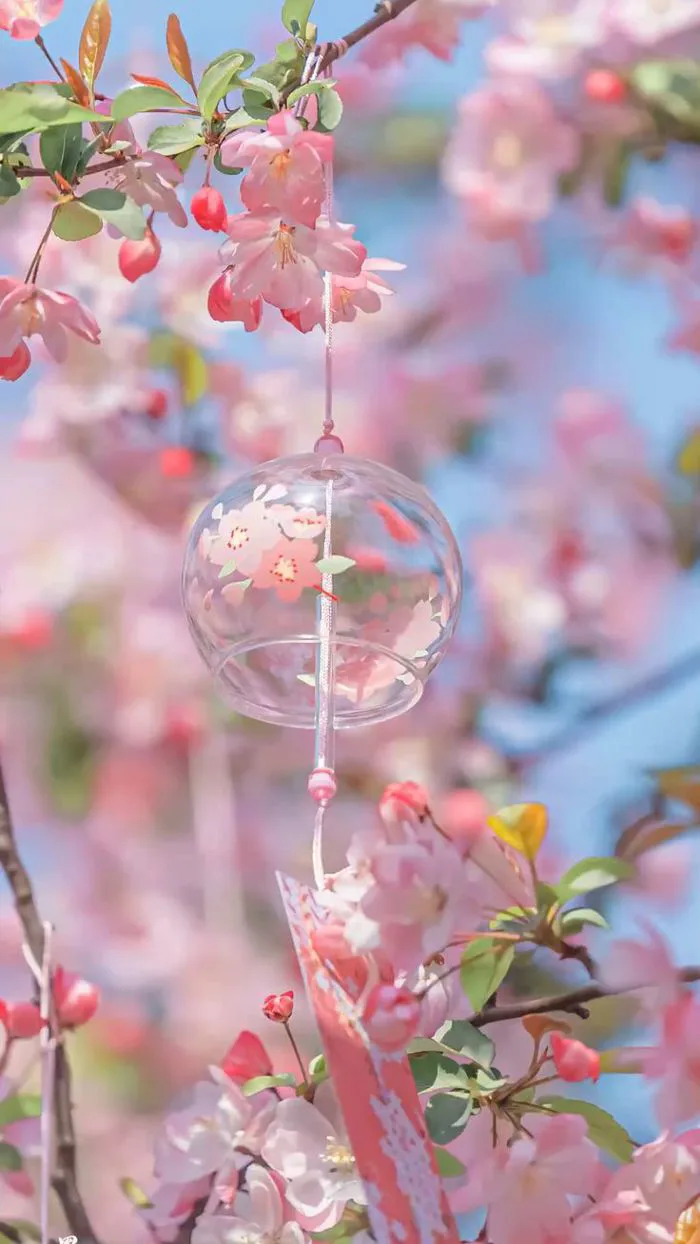 hinh-nen-mau-hong-cute-1