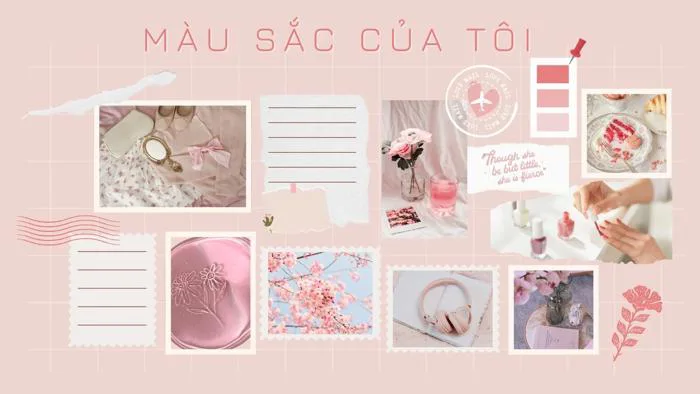 Hình nền hồng cho máy tính, từ pastel dịu đến hồng đậm | Canva