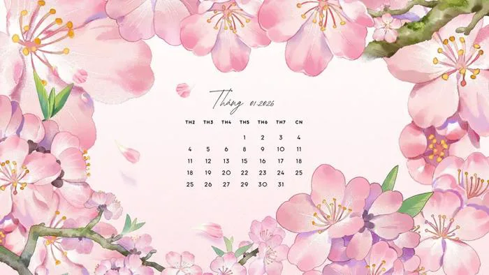 Hình nền hồng cho máy tính, từ pastel dịu đến hồng đậm | Canva