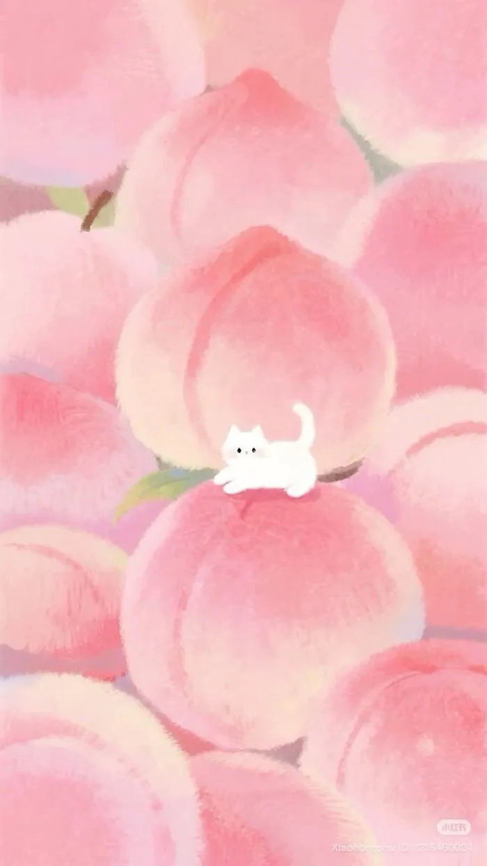 Hình nền mèo cute | Hình nền hồng, Hài hước về mèo, Điện thoại