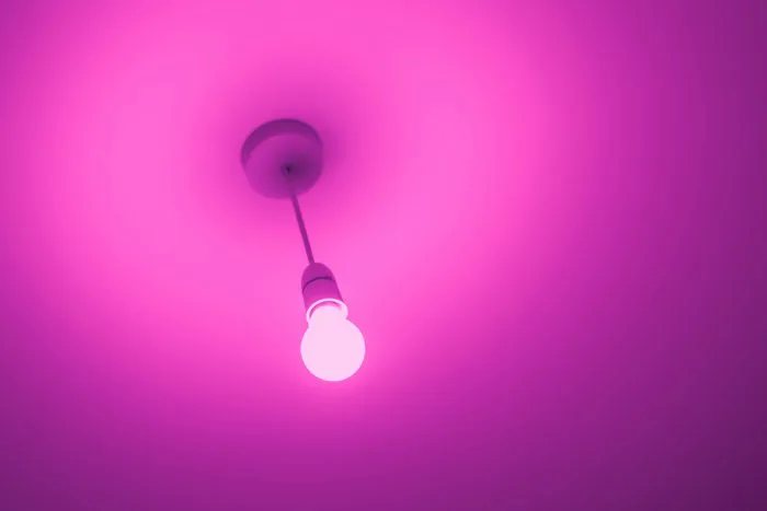hình ảnh : màu tím, Hồng, ánh sáng, thắp sáng, Ánh sáng fixture, Nước,  Lilac, Trần nhà, Màu đỏ tươi, Bầu trời, Material property, nhiếp ảnh, Chụp  macro, bóng đèn chiếu sáng,