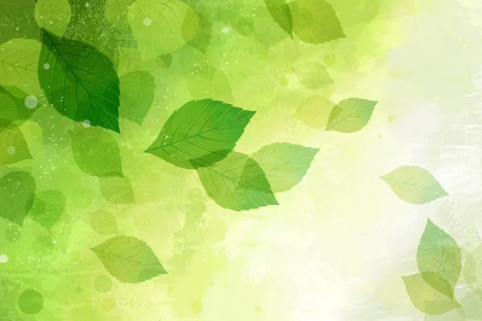99+ Background xanh lá cây đẹp, đa dạng, tải về miễn phí