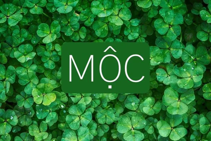 Tổng hợp 60 hình nền may mắn cho mệnh Mộc để chiêu tài lộc