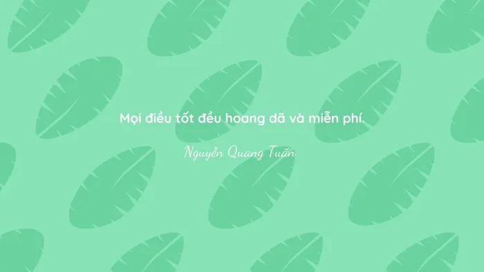 Tổng Hợp Hình Nền Mùa Hè Đa Dạng, Thiết Kế Trực Tuyến, Miễn Phí Tại Canva