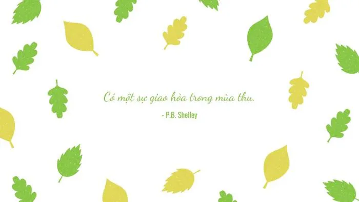 Tổng Hợp Hình Nền Mùa Thu Đa Dạng, Thiết Kế Trực Tuyến, Miễn Phí Tại Canva