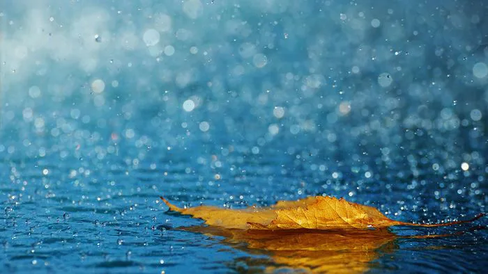 Bộ sưu tập hình nền mùa thu đẹp mê hoặc
