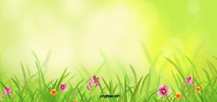 Hình nền Mùa Xuân Hoa Cỏ Xanh Tưởng Tượng, Màu Xanh Lá, Đồng Cỏ, Mùa Xuân  Background Vector để tải xuống miễn phí - Pngtree
