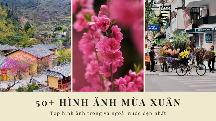Top 50 Hình Ảnh Mùa Xuân Thiên Nhiên Đẹp Nhất 2026