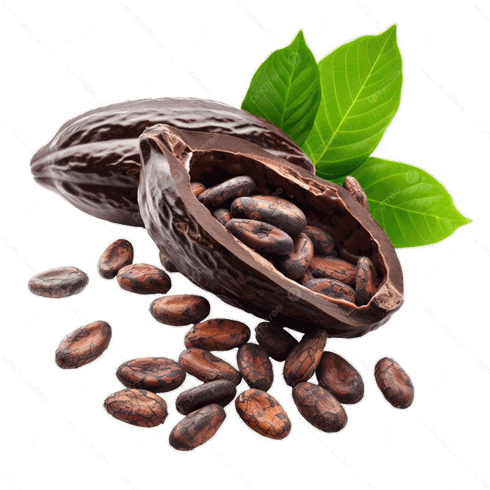 Cacao Hình ảnh PNG | Vector Và Các Tập Tin PSD | Tải Về Miễn Phí Trên  Pngtree