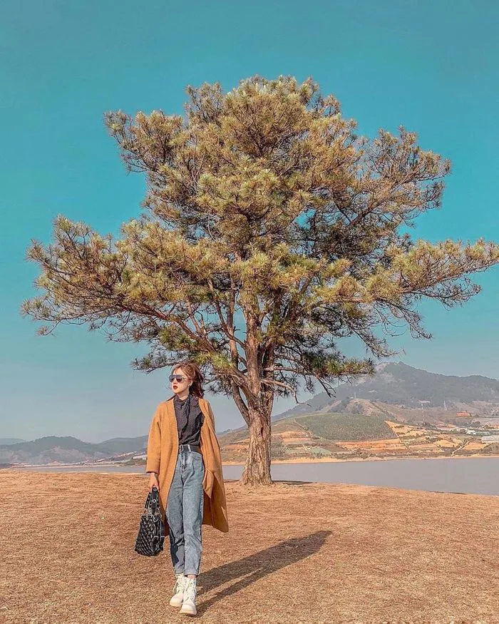 Công thức màu nâu Tây cho ảnh sống ảo cực chất để up instagram - Hoàng Phúc  Photo