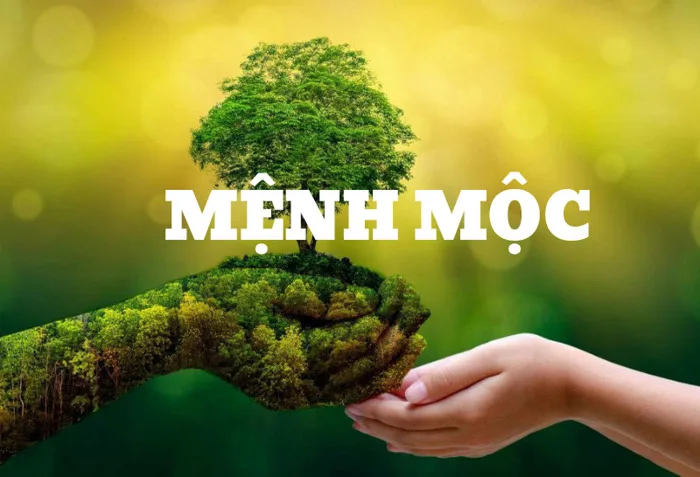 Nam mệnh Mộc sơn nhà màu gì tránh vận hạn hút tài lộc?