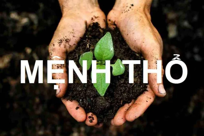 Cách chọn hình nền điện thoại phong thuỷ cho mệnh Thổ may mắn