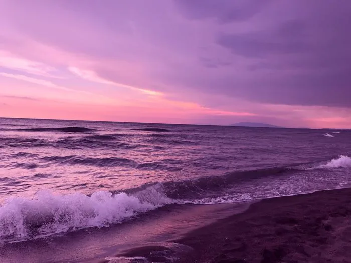 TOP 199+ Hình nền màu tím ĐẸP nhất, tải miễn phí ngay
