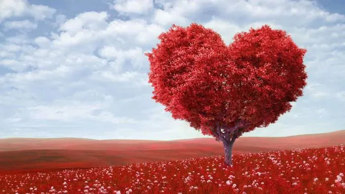 Hình nền trái tim: BST các mẫu hình nền nổi bật và lãng mạn