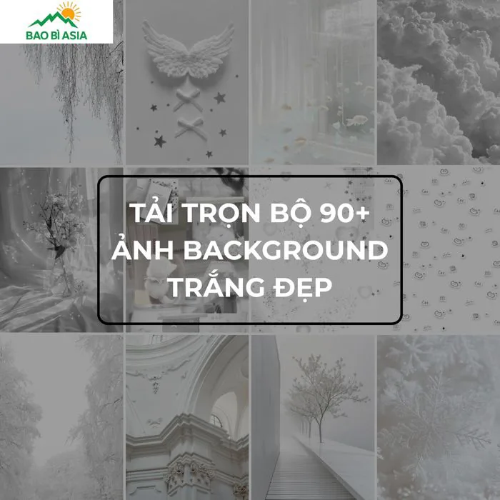 90+ Background Màu Trắng, Hình Nền Trắng Đẹp, Sang Trọng