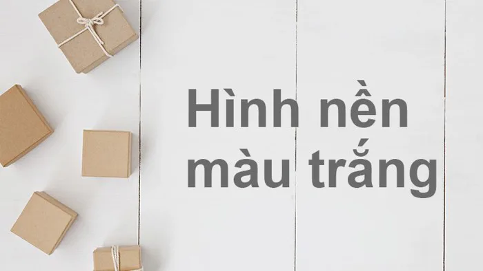 100+ Hình nền, background trắng đẹp full HD cho máy tính, điện thoại