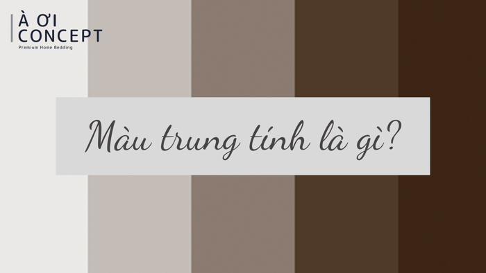 Màu trung tính: tone màu thanh lịch, bảng màu be – ghi – xám trong dec
