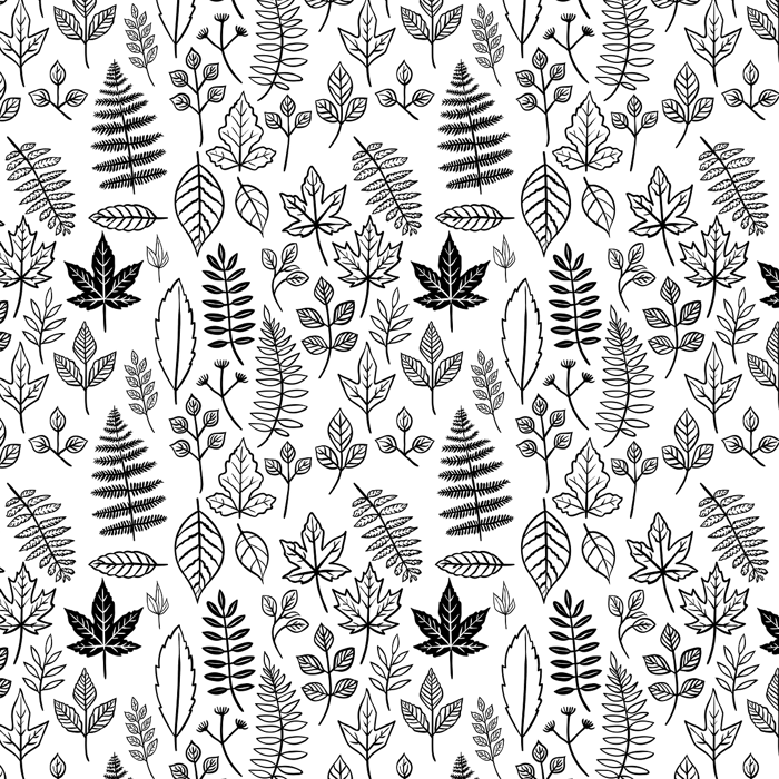 50000+ Vector Background & ảnh Thiên Nhiên miễn phí - Pixabay