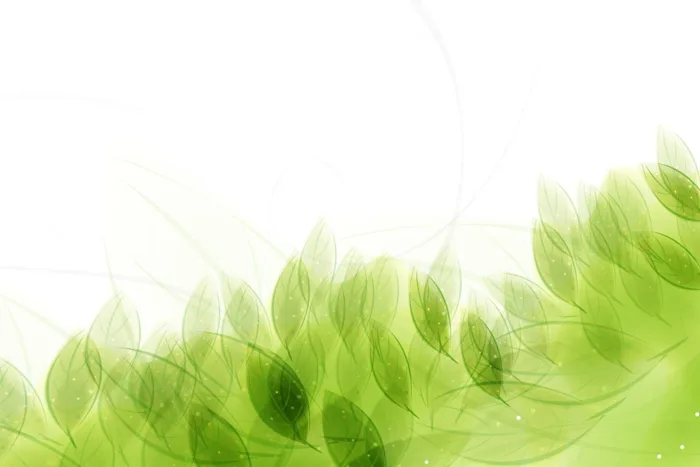 99+ Background xanh lá cây đẹp, đa dạng, tải về miễn phí