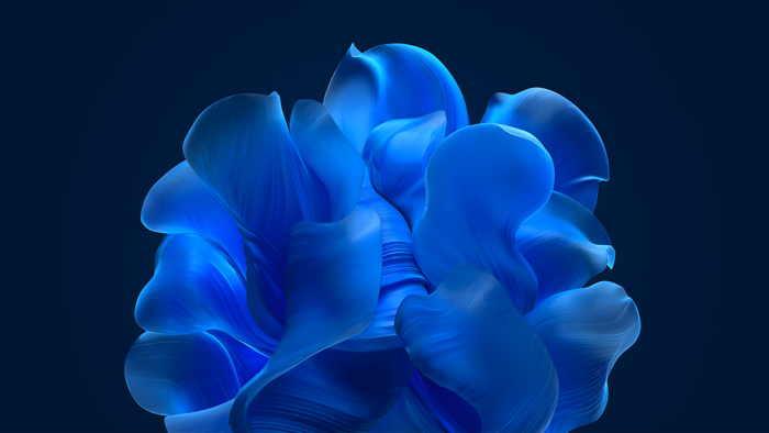 Hình Nền 4K Hoa Trừu Tượng Màu Xanh Windows 11 | 3840x2160 | Wallpaper  Alchemy