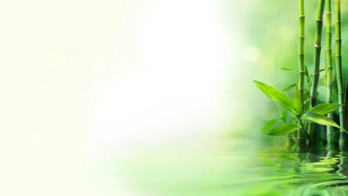 199+ Hình nền xanh lá cây độc đáo, ấn tượng nhất năm 2025