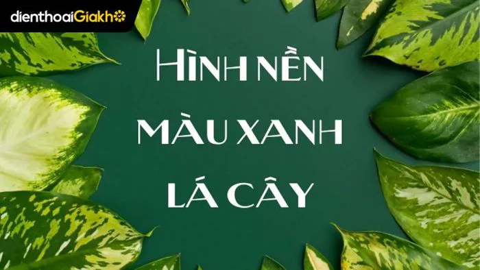 199+ Hình nền xanh lá cây độc đáo, ấn tượng nhất năm 2025