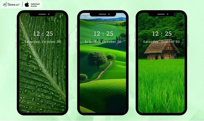 TOP 101+ Hình nền màu xanh lá cây ĐẸP, độc đáo cho điện thoại, máy tính