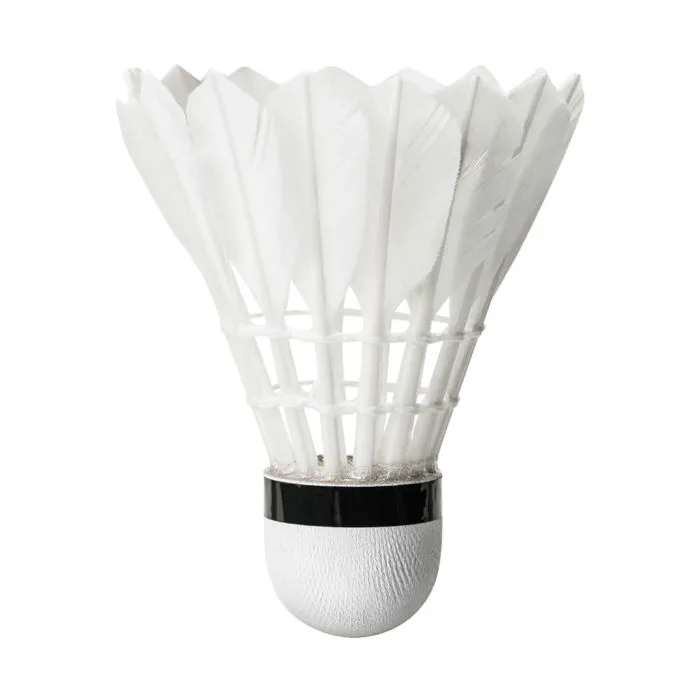 Hơn 100 ảnh Cầu Lông và Badminton miễn phí - Pixabay